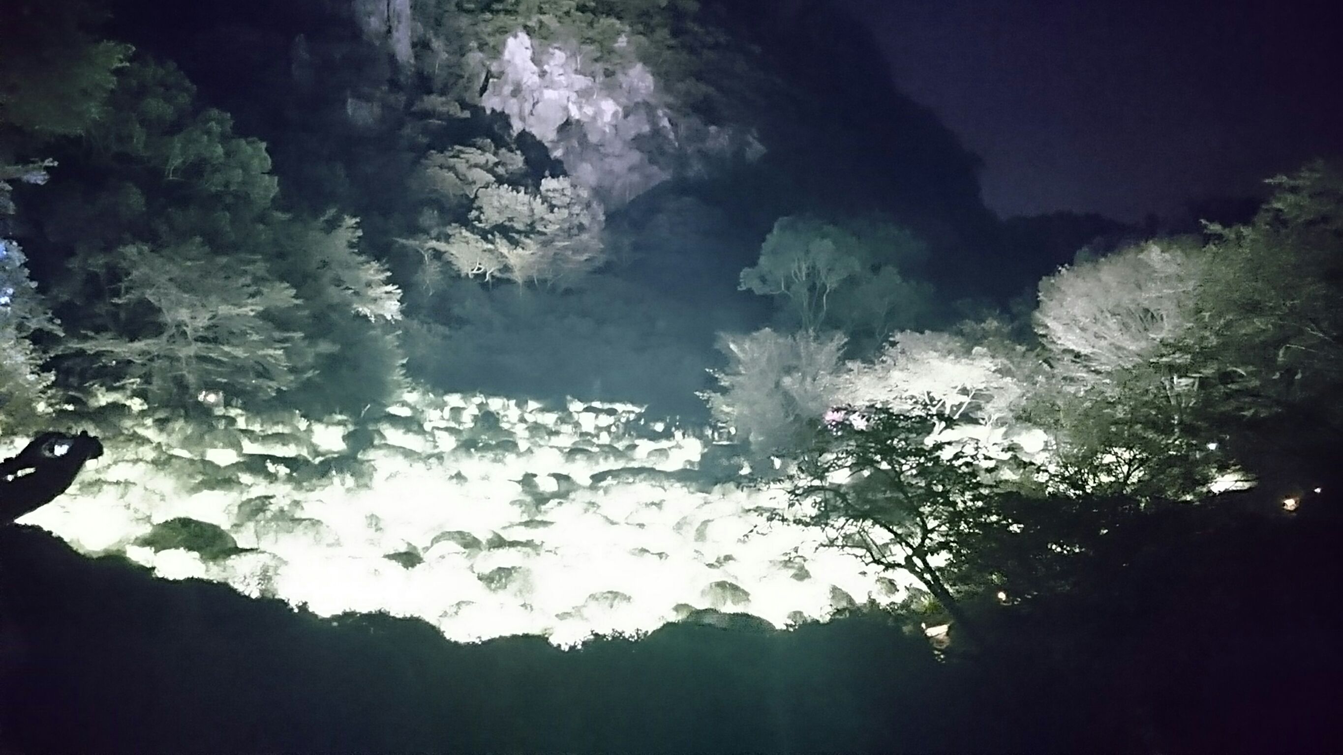 �T���v���T�C�g