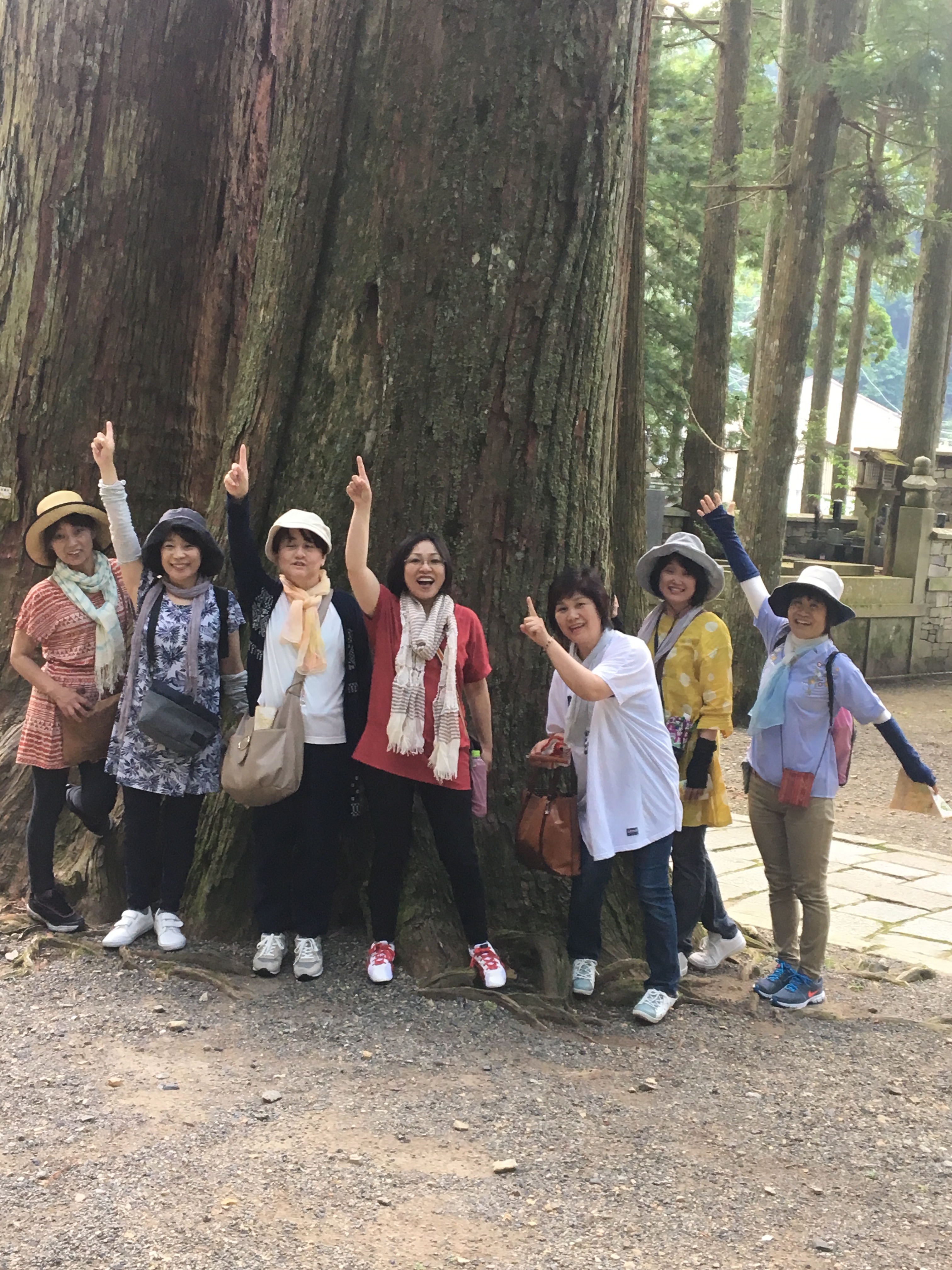 �T���v���T�C�g