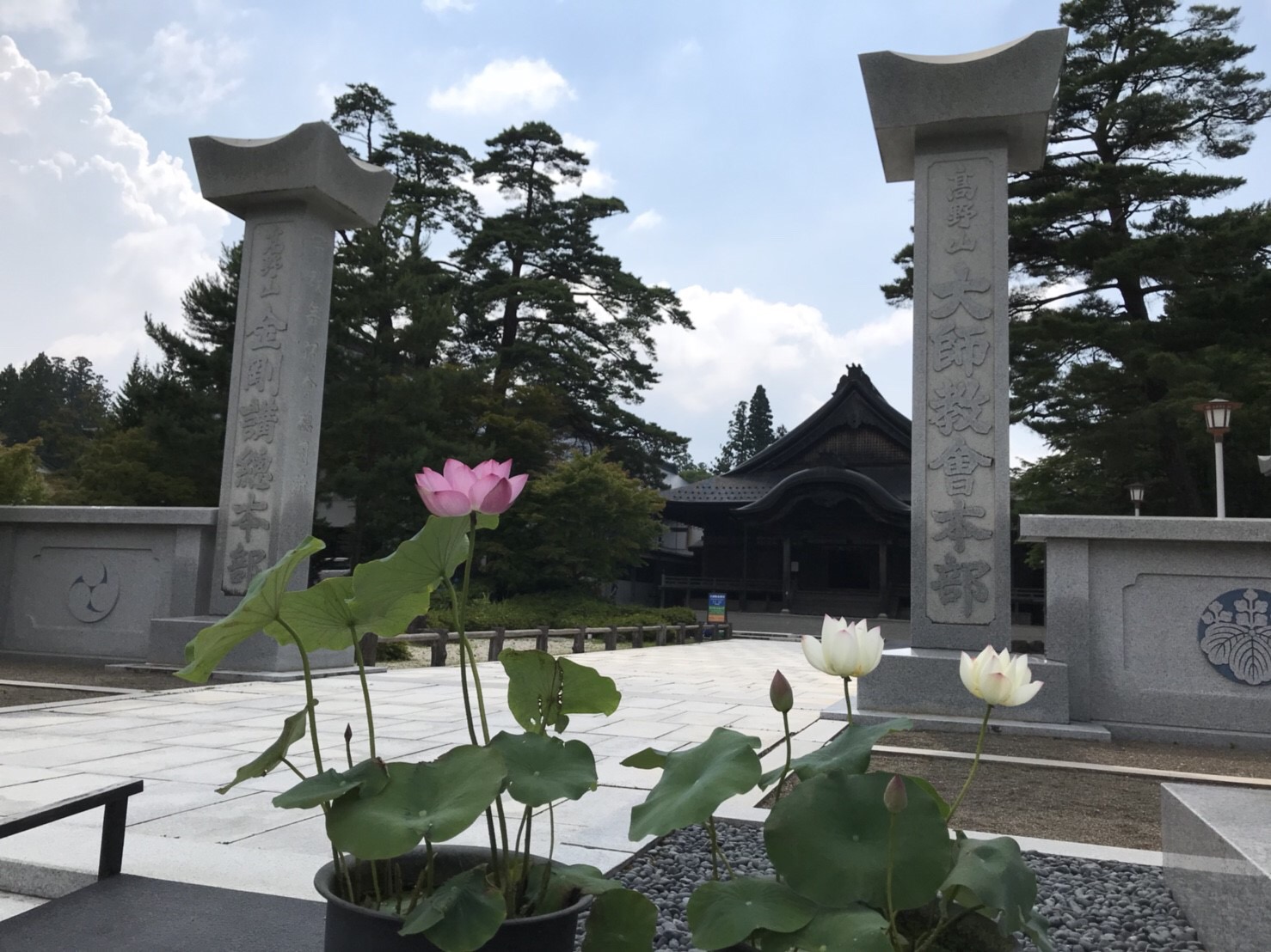 �T���v���T�C�g