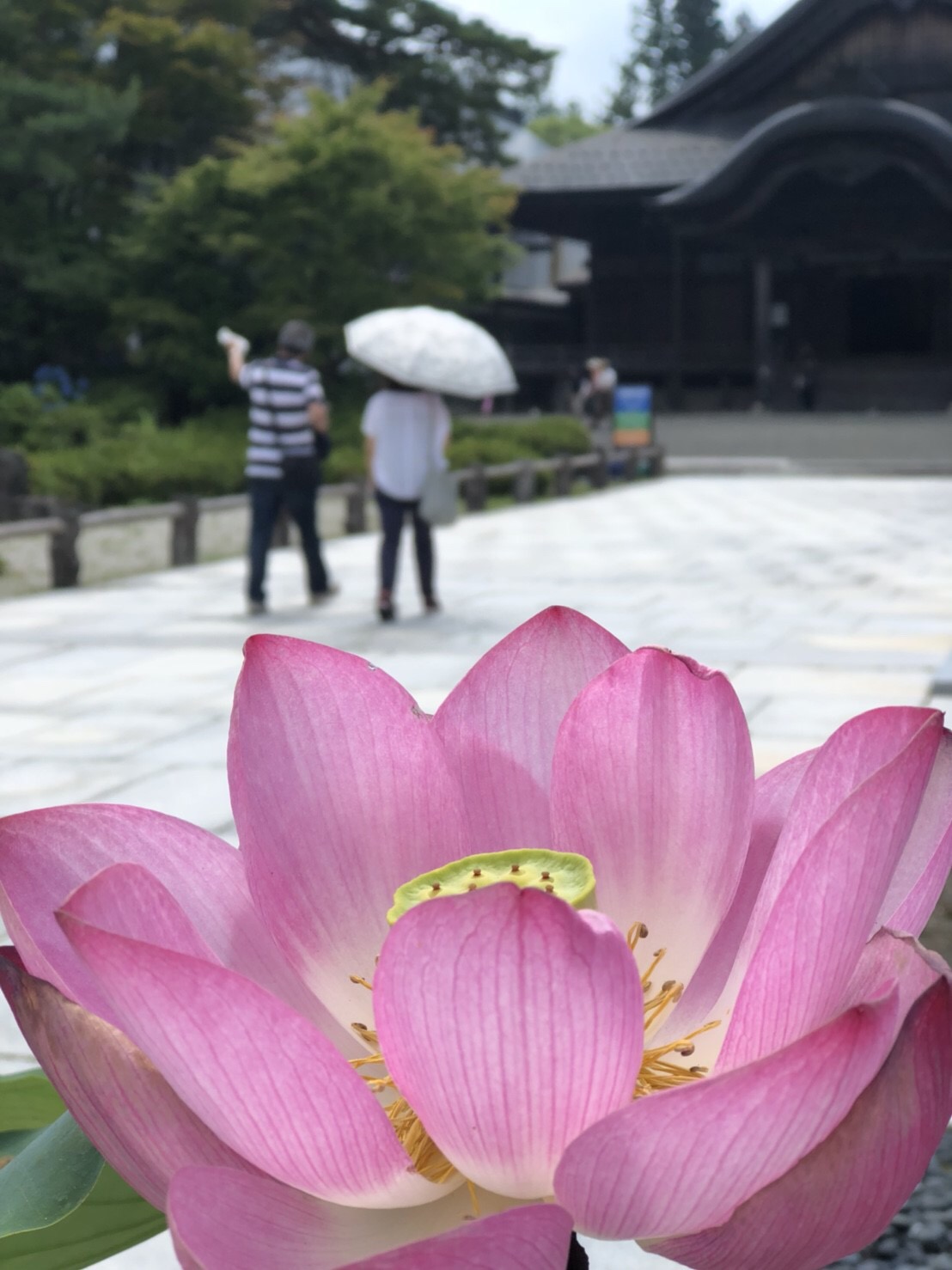 �T���v���T�C�g